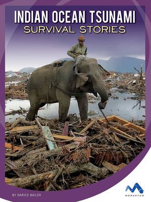 Indian Ocean Tsunami Survival Stories - ebook